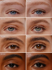 Lash & Brow Essentials Set